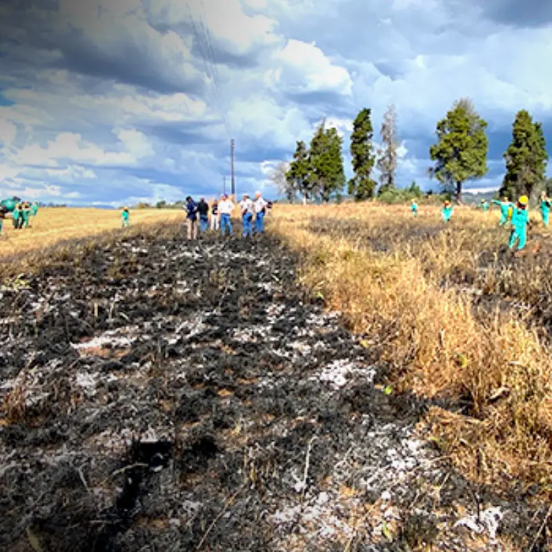 Field Fire