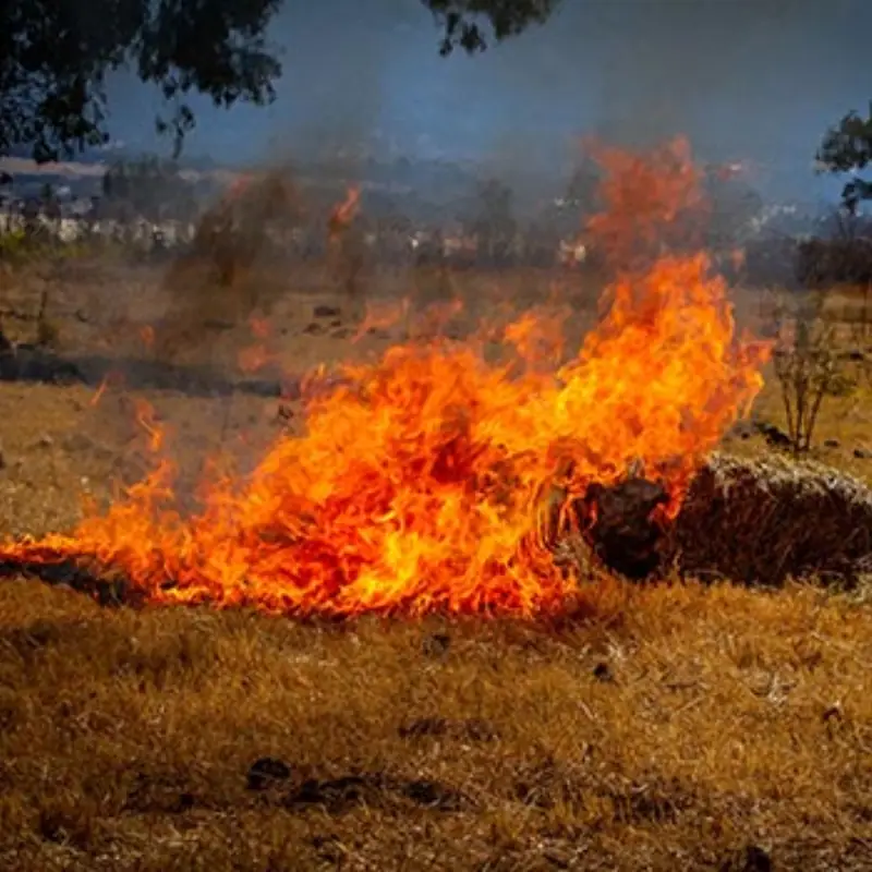 Field Fire
